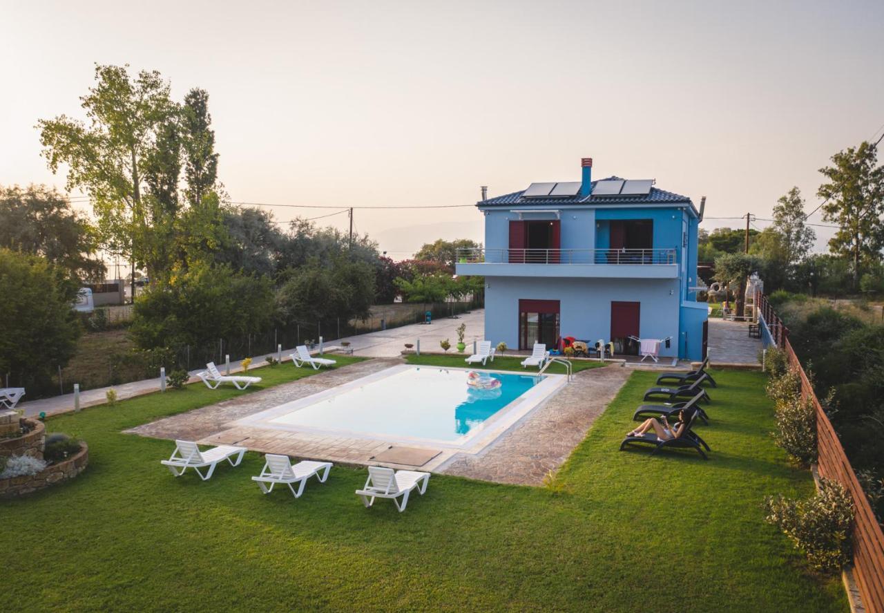 Olive Tree Apartment